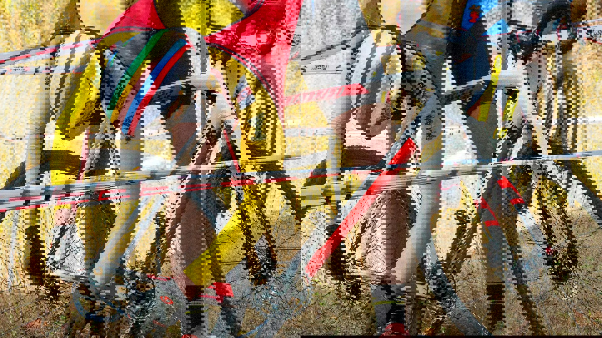 Daryl Baird Fjg6bnjicy0 Unsplash