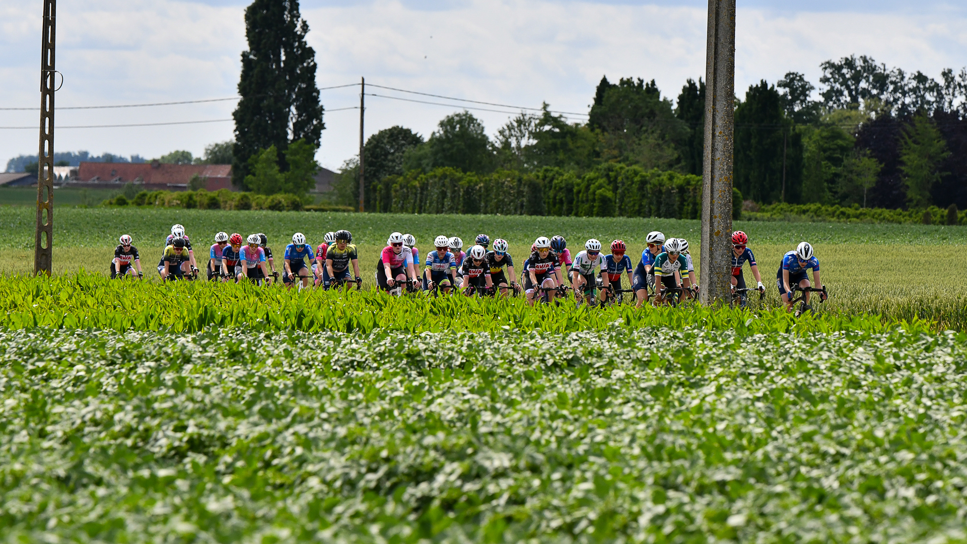 Peloton Veraf