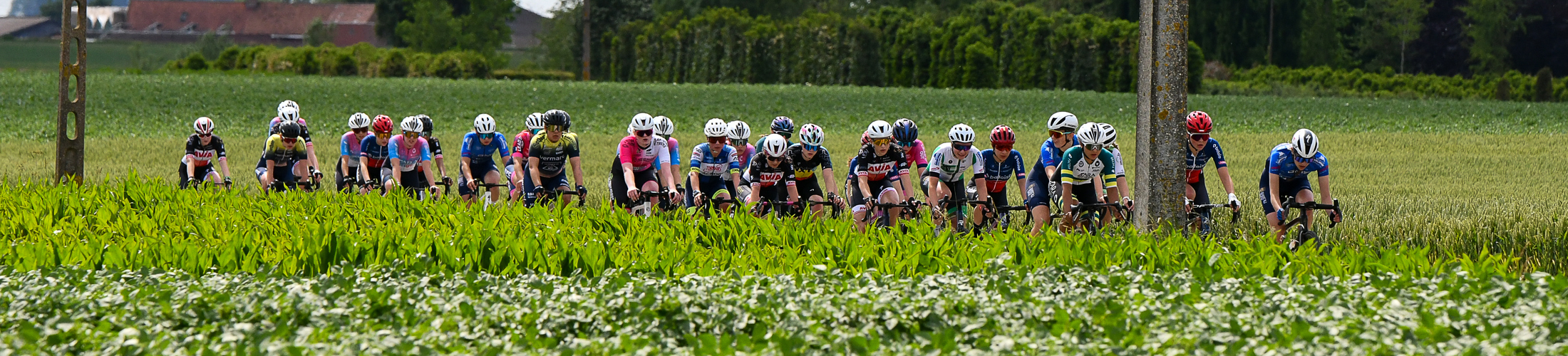 Peloton Veraf