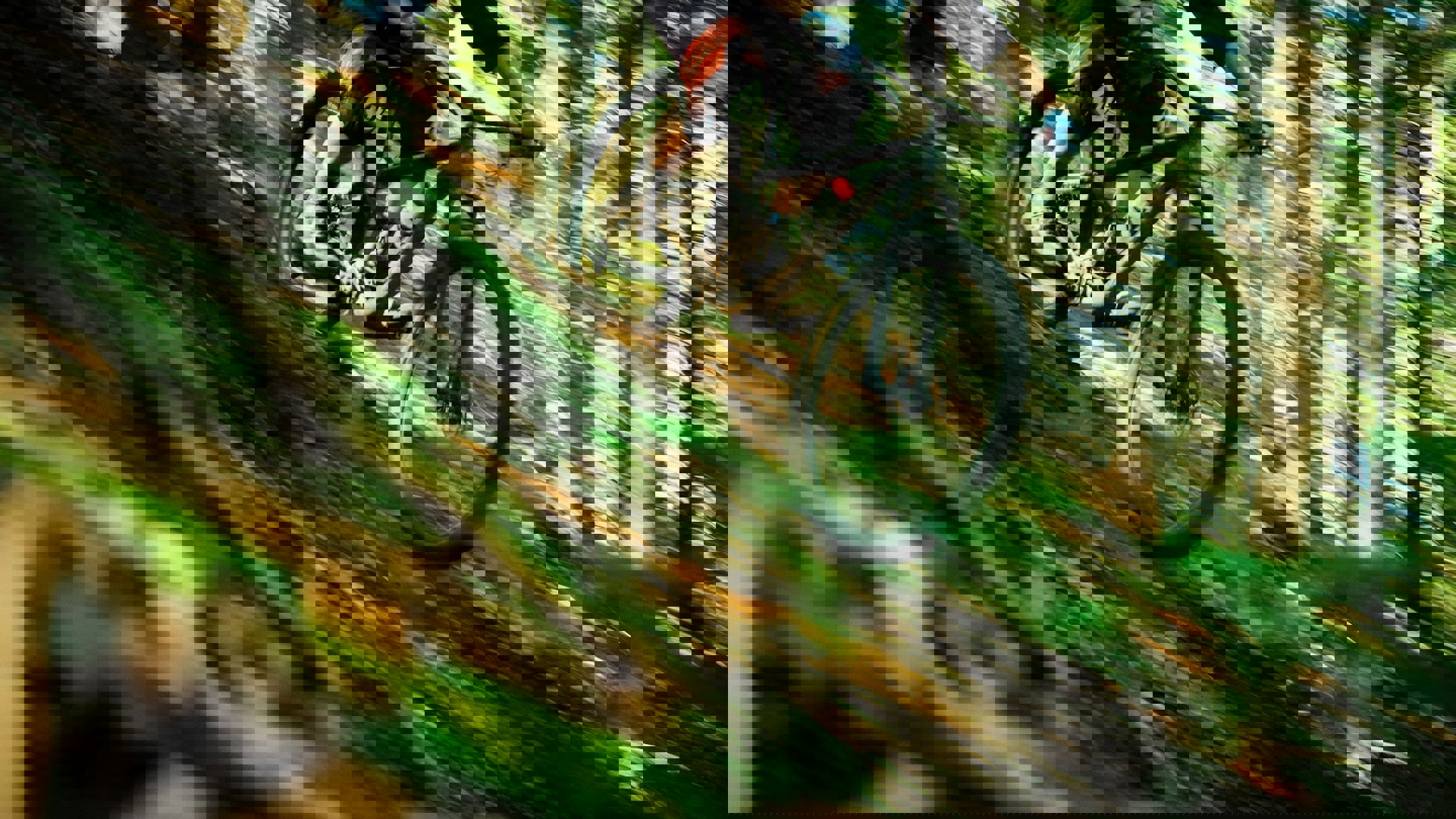 Tim Foster Jhovc0t8f 8 Unsplash