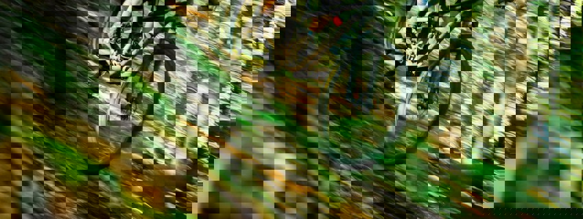 Tim Foster Jhovc0t8f 8 Unsplash