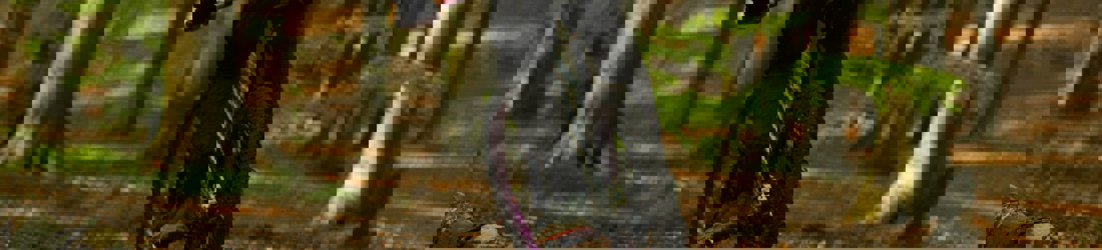 Karsten Winegeart Iet84oak7hq Unsplash2