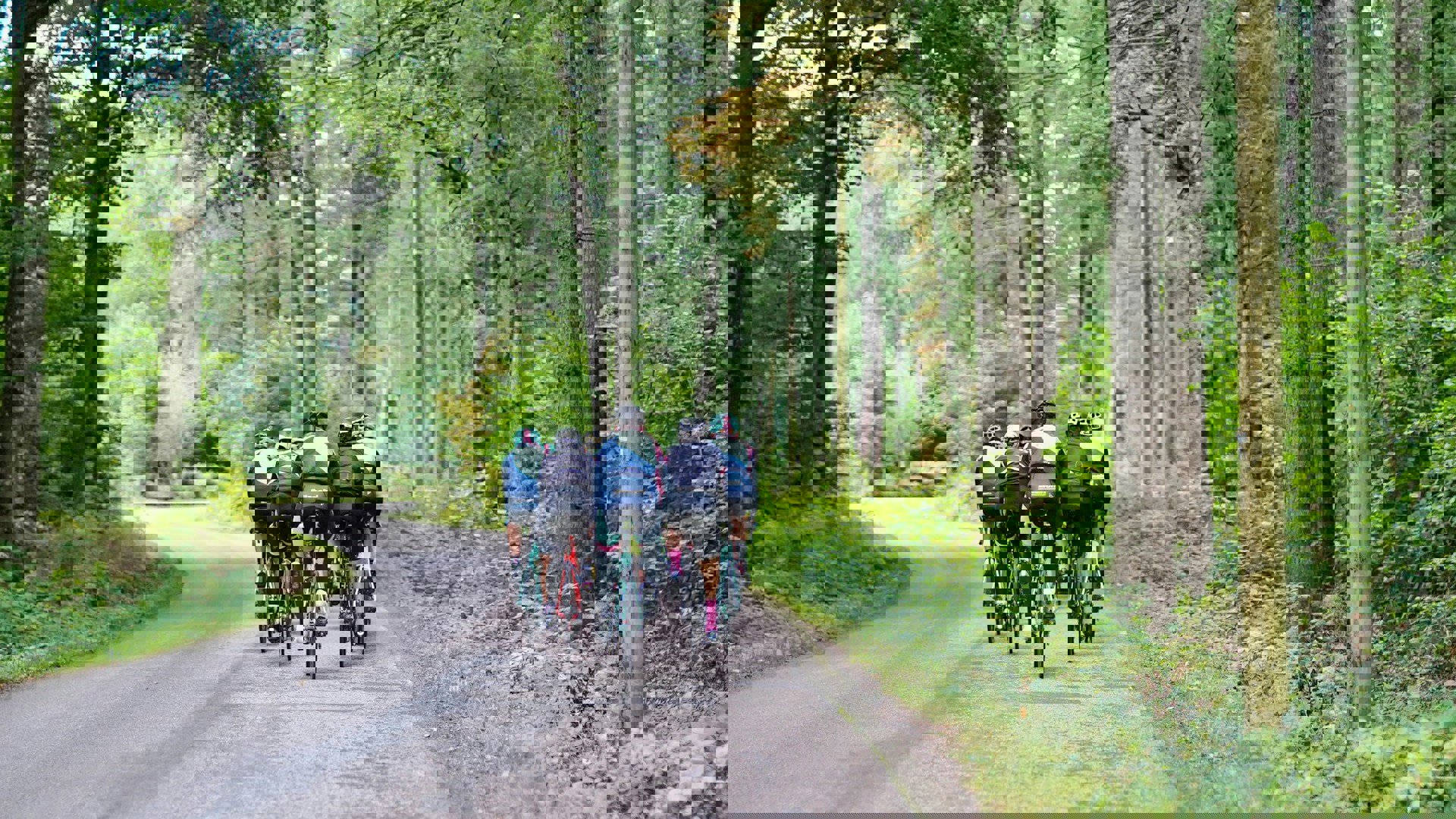 Martin Magnemyr Ngt71krwuow Unsplash