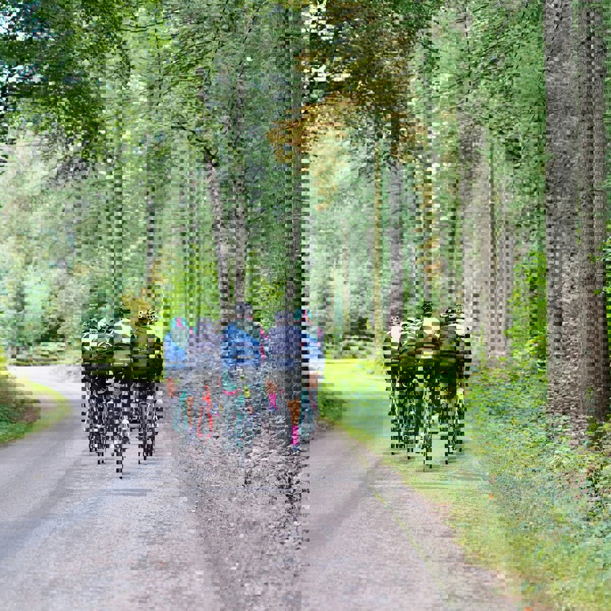 Martin Magnemyr Ngt71krwuow Unsplash